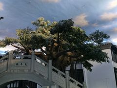 -馋遇江南·精致湖景雅宴(东方之门店)