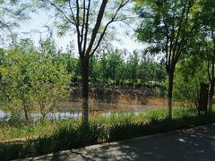 -西青郊野公园