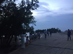 -宝安西湾红树林湿地公园