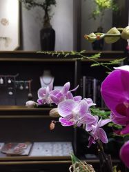 -御珠宫坊(壹海城ONEMALL店)