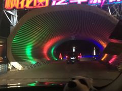 -枫花园汽车电影院(朝阳公园店)