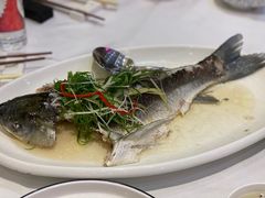 -顺德渔村·岭南一号