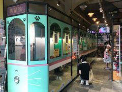-猫咪博物馆(顶澳仔猫街店)