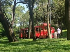 -云溪植物园