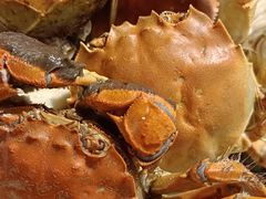 -盛江山自助料理(奥莱锦辉购物广场店)