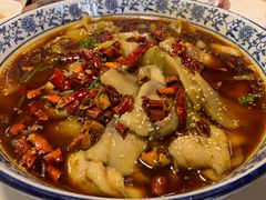 -付掌柜在成都·热炒砂锅集(金禾店)