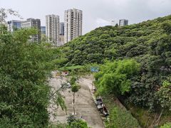 -鲤鱼塘农家山庄