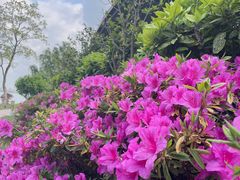 -阳澄湖半岛旅游度假区