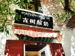 门面-古树酸奶(八廓南街店)
