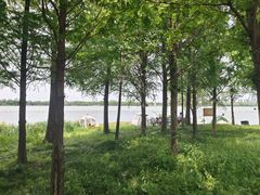 -西山漾湿地公园