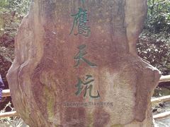 -重庆武隆天生三桥风景区-神鹰天坑