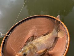 -酷鱼垂钓CLUB(朝阳区博大路店 )