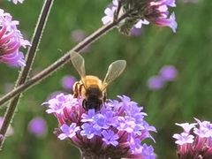 -石井坡(地铁站)
