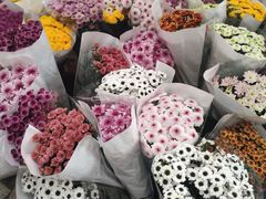 -秦美花卉(天朗·莱茵小城2期店)