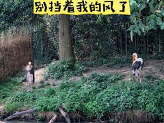 景点-上海野生动物园