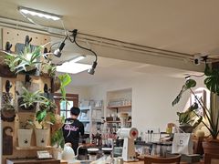 -本無咖啡·BeanWood Coffee