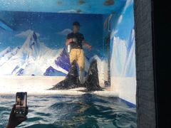 -成都浩海立方海洋公园