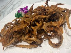 -琼菜王(南海店)