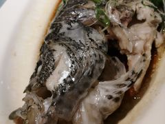 -宝燕壹号(徐汇店)