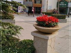 -偏爱炒鸡店(宝龙店)