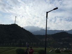 -空中草原