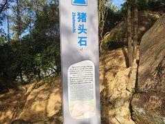 -火炉山森林公园