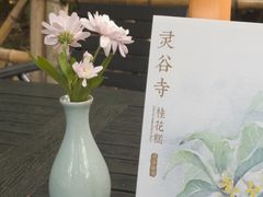 -灵谷景区