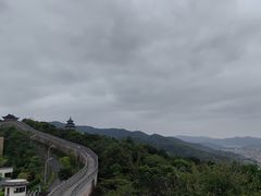 -黄贤森林公园