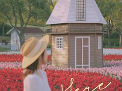 -大宁郁金香公园-停车场