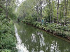 -合肥滨湖国家森林公园