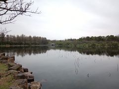 -上海海湾国家森林公园