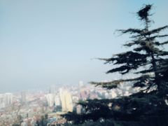 -贮水山儿童公园