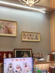 -宝贝家族国际影像馆(东郊记忆店)