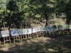 -石台牯牛降景区