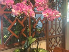 -洋洋中餐馆·SINCE 1997(信投店)