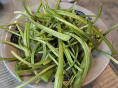 -马帮菜馆·美味野生菌