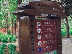 -洛阳市隋唐城遗址植物园