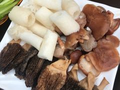 -蘑统田下·野生菌火锅