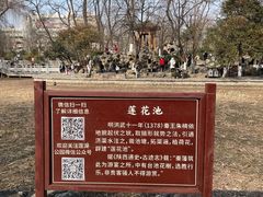 -莲湖公园