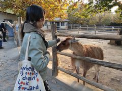 -西安秦岭野生动物园