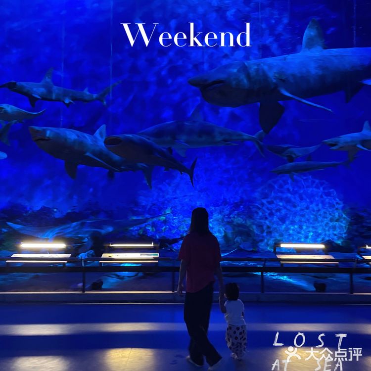 广州亲子好去处|来这里看大鲸鱼🐳广东省博物馆