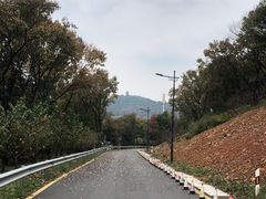 -宝界山林公园