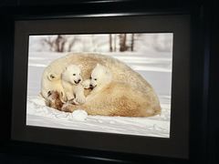 -罗红摄影艺术馆