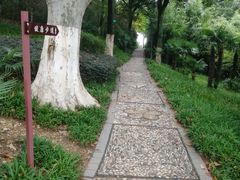 -菊花台公园
