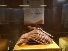-中国沉香文化博物馆