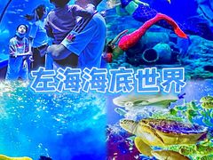 -左海海底世界