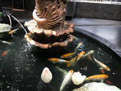 -裕丰源滋补烩面(天赋路店)