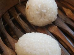 茨毛圆子-双塔老饭店