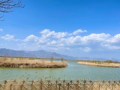 -野鸭湖国家湿地公园