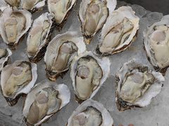 -威海九禧海鲜居渔水饺(经区店)